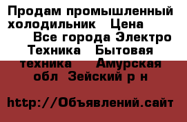 Продам промышленный холодильник › Цена ­ 40 000 - Все города Электро-Техника » Бытовая техника   . Амурская обл.,Зейский р-н